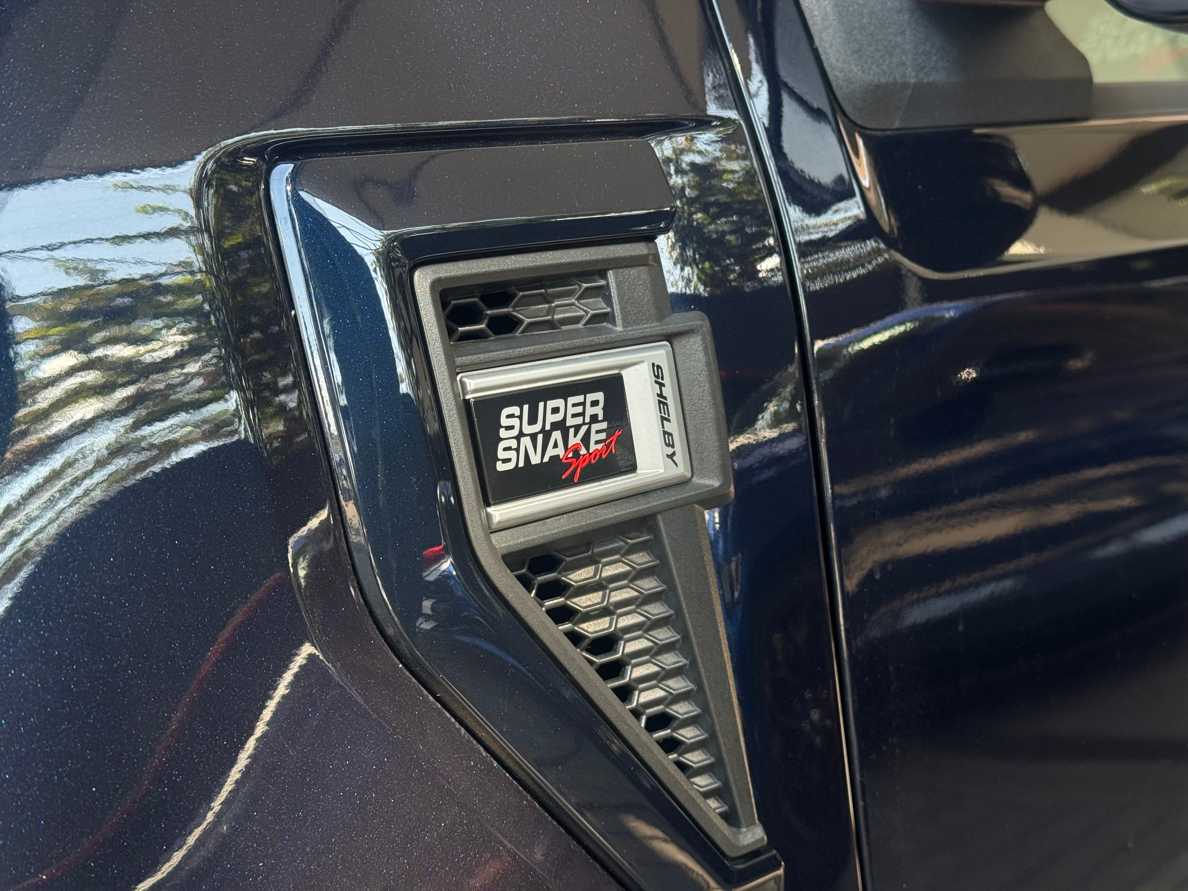 Ford Shelby Super Sneake 2021