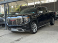 Sierra Denali 2023
